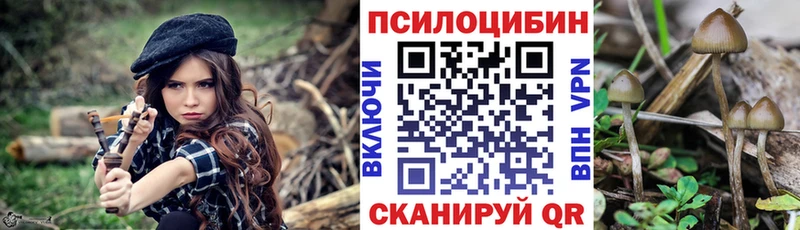 Галлюциногенные грибы ЛСД  Углич 